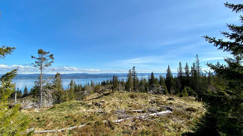 Bremeraunåsen.Her med utsikt mot fjorden og Frosta.