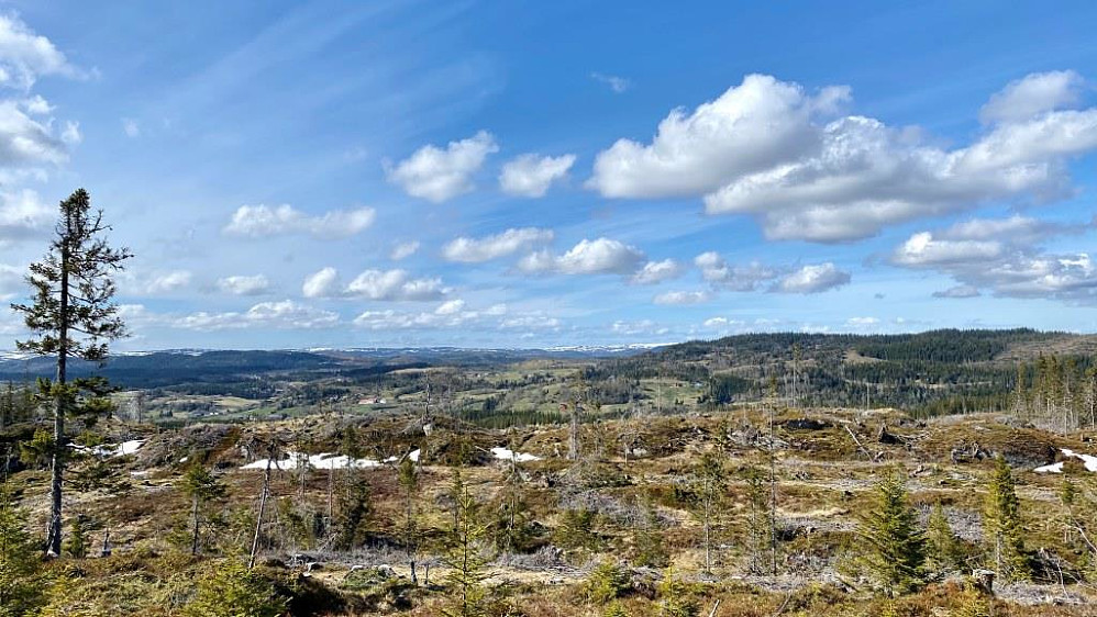 Mot Dalbygda.