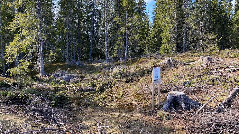 Kolmila lå her.
