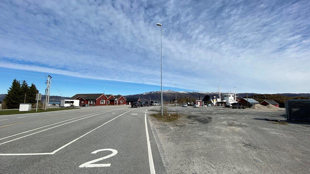 Liten fergekø enda.