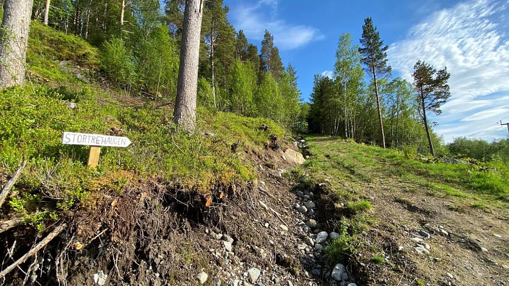 Ingen ting å utsette på merkinga her.