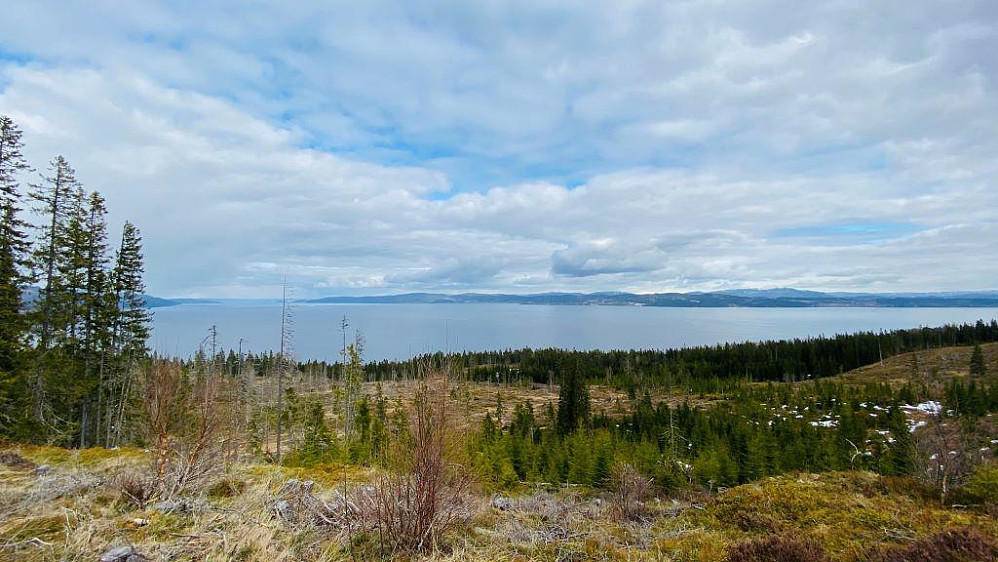 Toppen av Kjøkenhaugen.Ser her over fjorden mot Småland,Frosta.