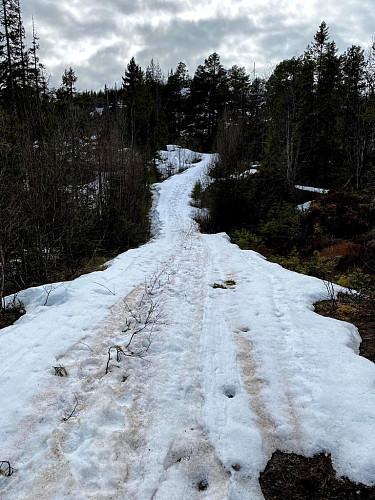 Det er i dette området ligger snøen lengst om åren på turen mot Beitkammen.