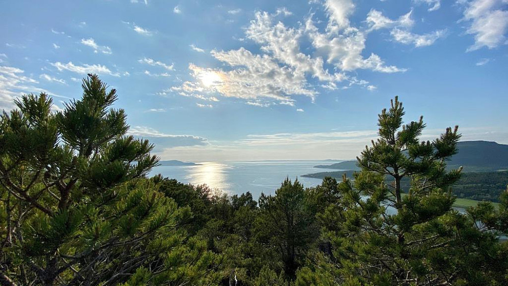 Utsikt fra Buåsen mot vest og Ytre Trondheimsfjord.Agdenes og Ørlandet.