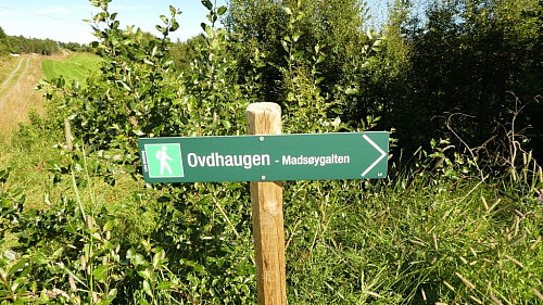 God merking som vanlig her på Leka.