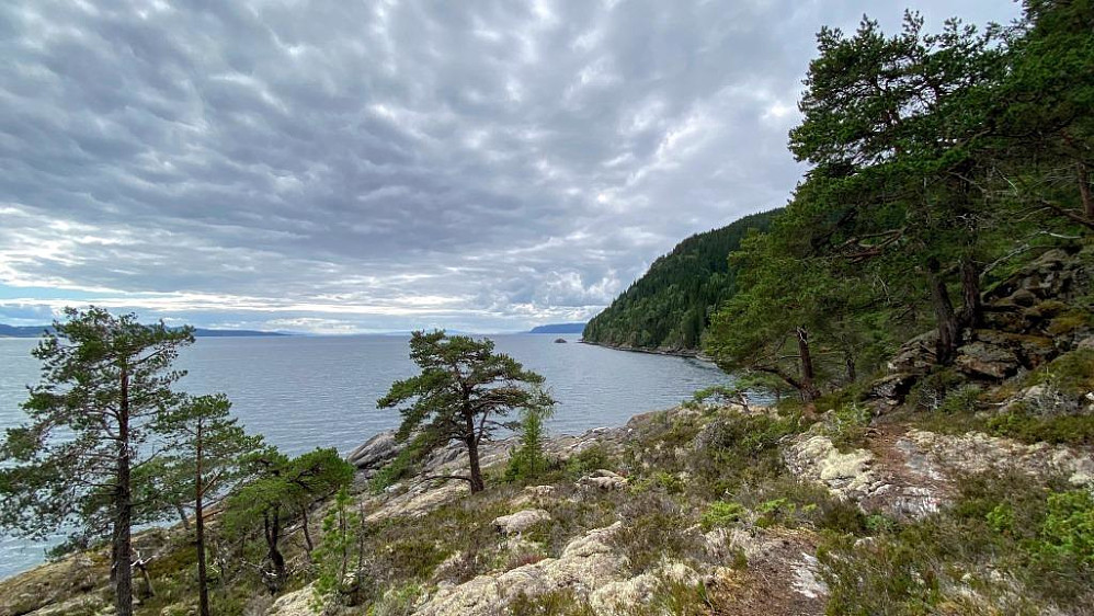Snart nede ved Svartfjelltangen.
