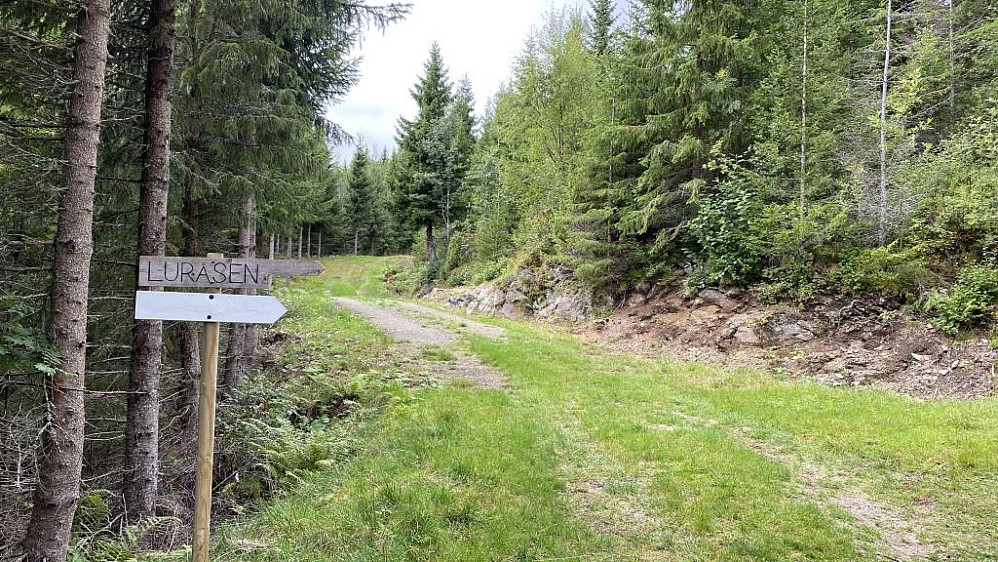 Godt merket.For en kort tur til Luråsen så tar du av til høyre her.