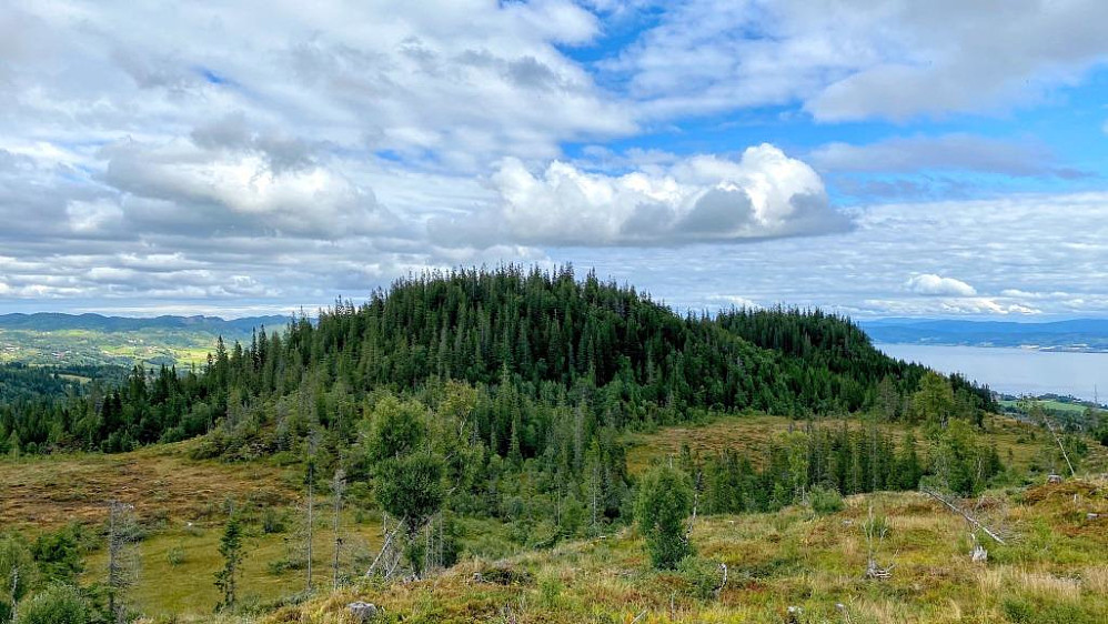 Bjørnahaugen.