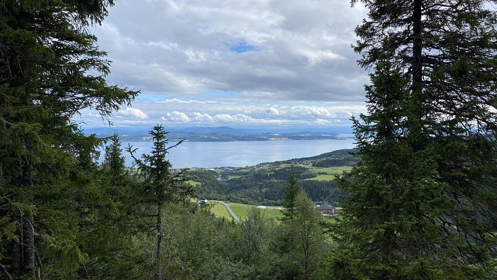 Her fra Båsmyrhaugen.