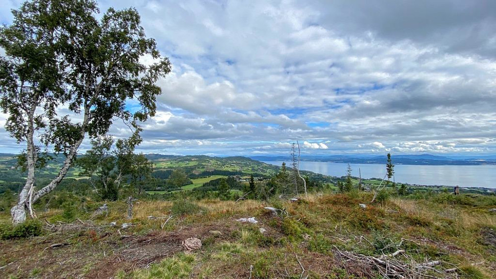 Toppen av Luråsen.