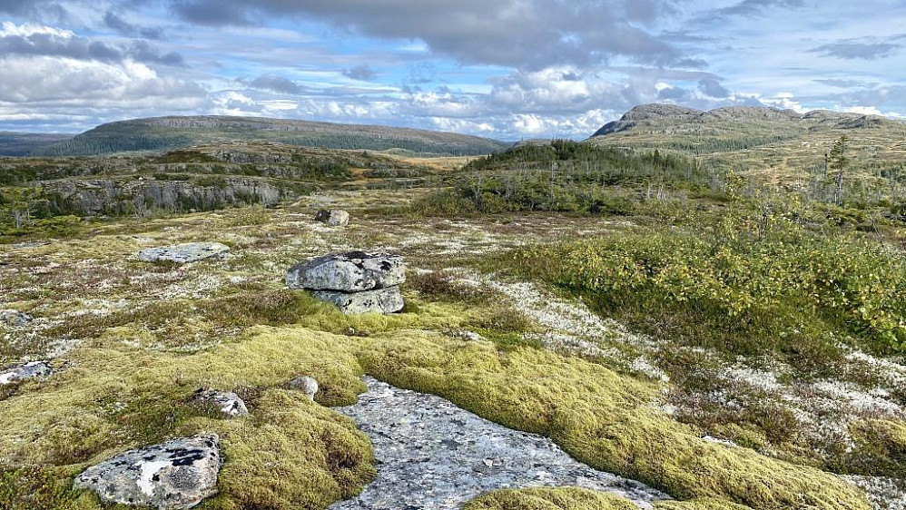 Stegalia toppen.Her må det bygges!