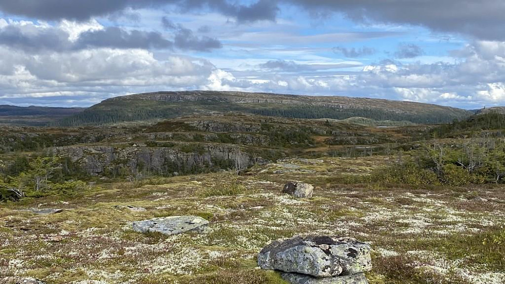 Kjølheia langt der borte.