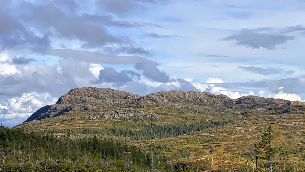 Kjerringklumpen og Pessarheia.