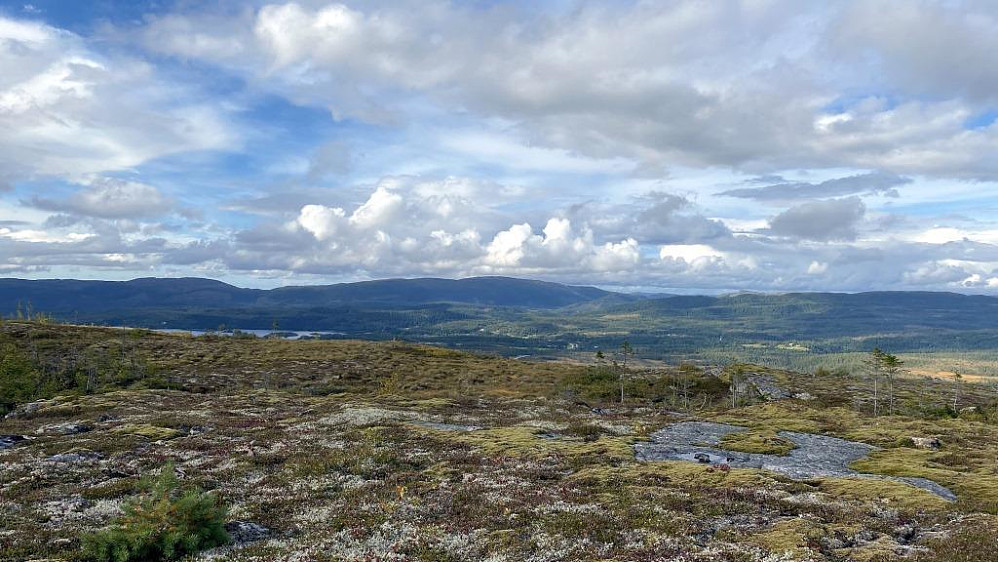 Mot Olsøyheia i det fjerne.