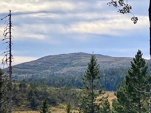 Blåheia i det fjerne.Et populært turmål.