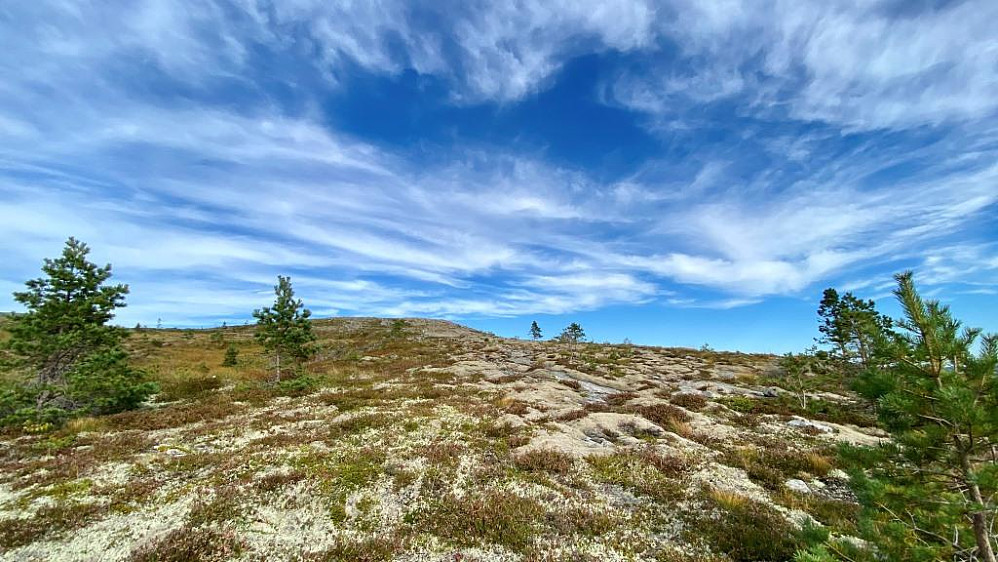 Siste stykket opp mot toppen er et lettgått terreng.
