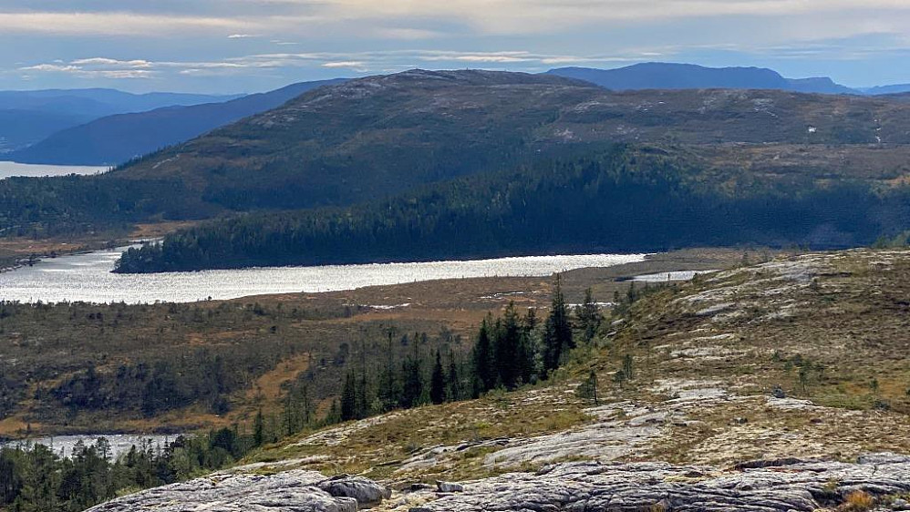Blåheia 393 moh.