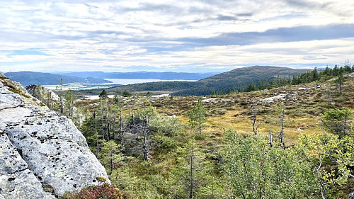Parti fra returen litt før man kommer til skogsveien på neste bilde..........