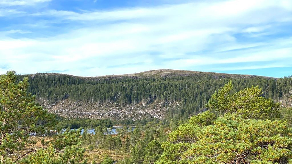Ser tilbake mot dagens turmål.Seterheia.