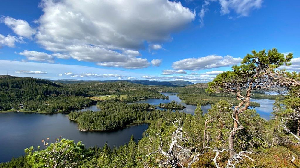 Ned mot Kneggsundet.