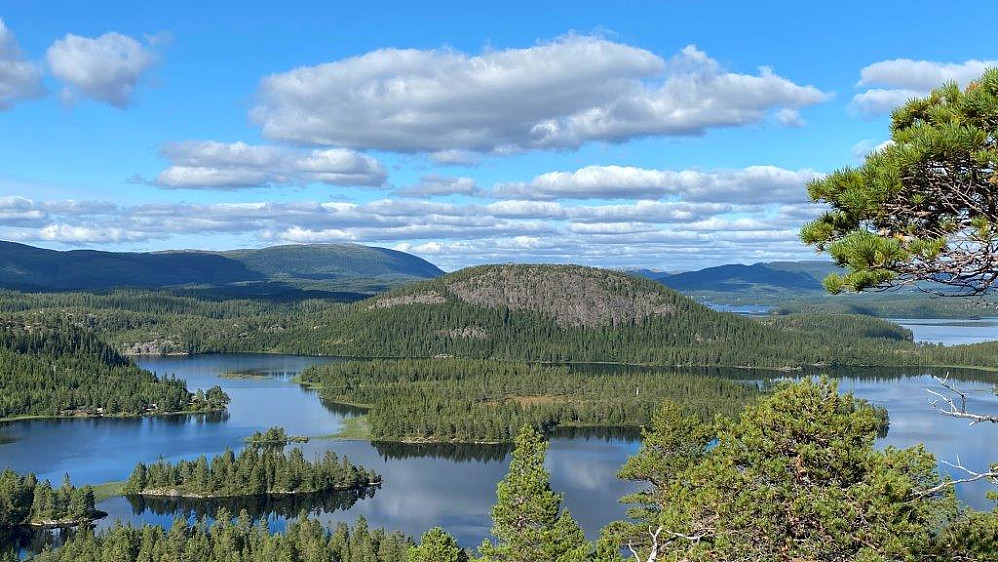 Hifjellet med sin bratte sørside.Olsøyheia bak.