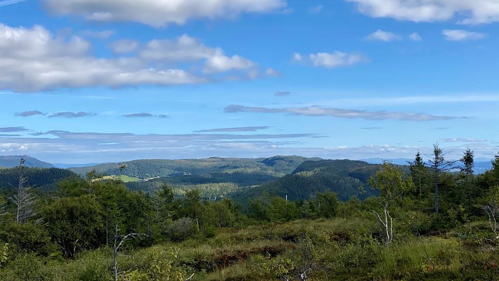 Ser mot Storhaugen og Hemmeldalsheia.