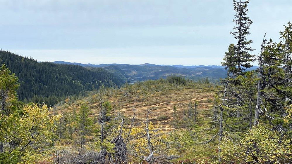 Litt sikt mot Bjørsjøen med Svalbakheia bak 452 moh.