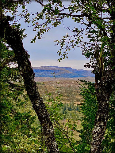 Mot sør ser man Kjerringklumpen som var kommunens høyeste fjell før kommunesamenslåinga.