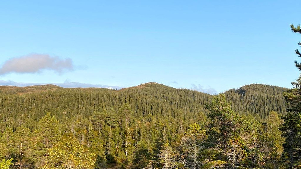 Svartfjellet til høyre her.