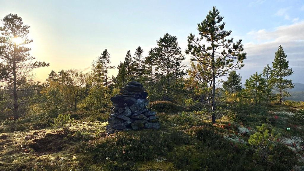 Toppen i motlys.
