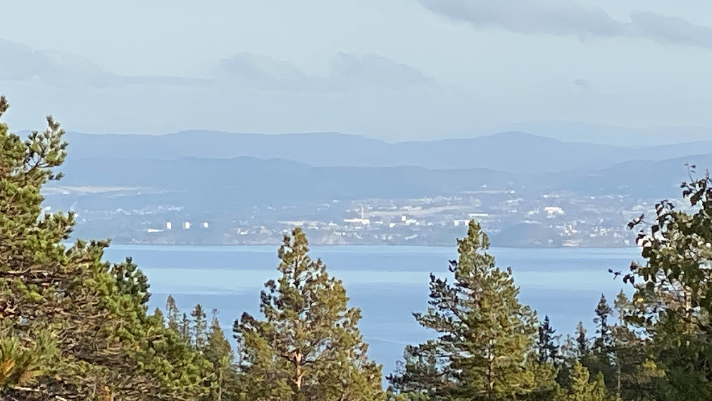 Ser litt av Trondheim i det fjerne.