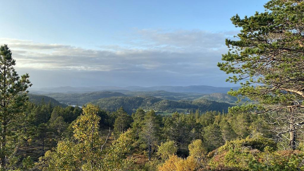 Mot Storvatnet/Fjølvikbotnen.