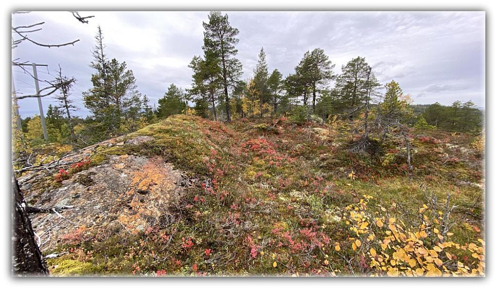 Fine høstfarger.