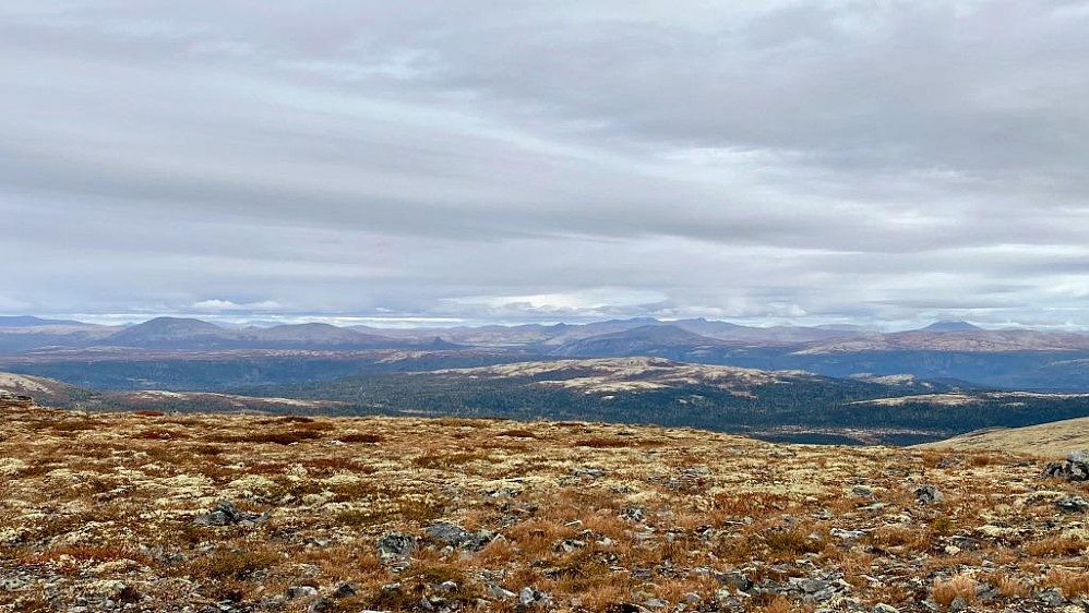 Fjellheimen mot øst.