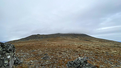 Tronfjellet blir besøkt på en solskinnsdag neste gang.