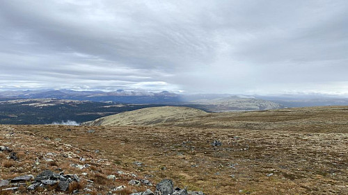 Mye reinmose i fjellet lengre nede.