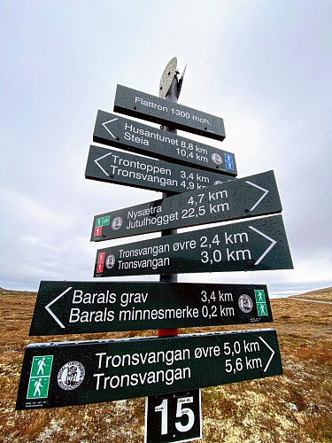 Mange turmål her.
