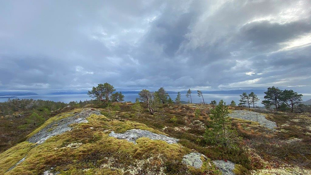 Toppunktet på Navlen.