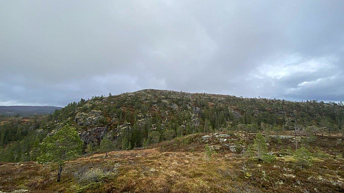 Leirsklumpen.Tar en tur dit også.