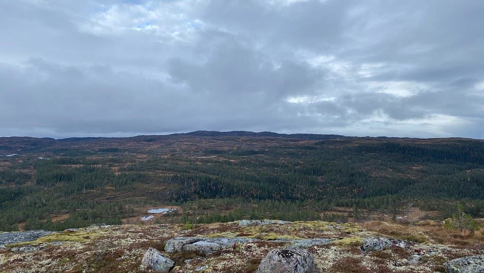 Mot Fagerheia og Årliklumpen 570 moh.