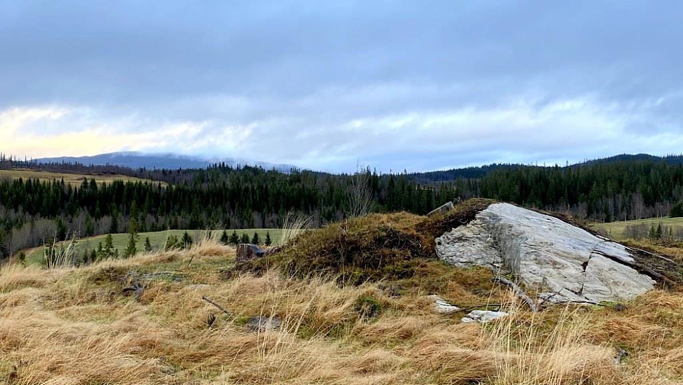 Toppunktet på Svean med Hårfjellet langt i det fjerne.