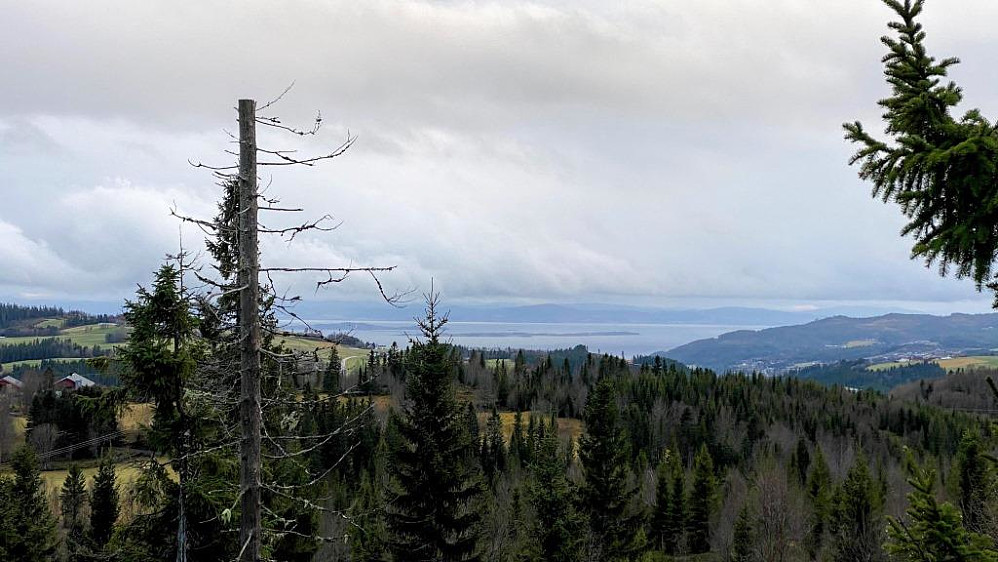 Mot sør og Trondheimsfjorden.