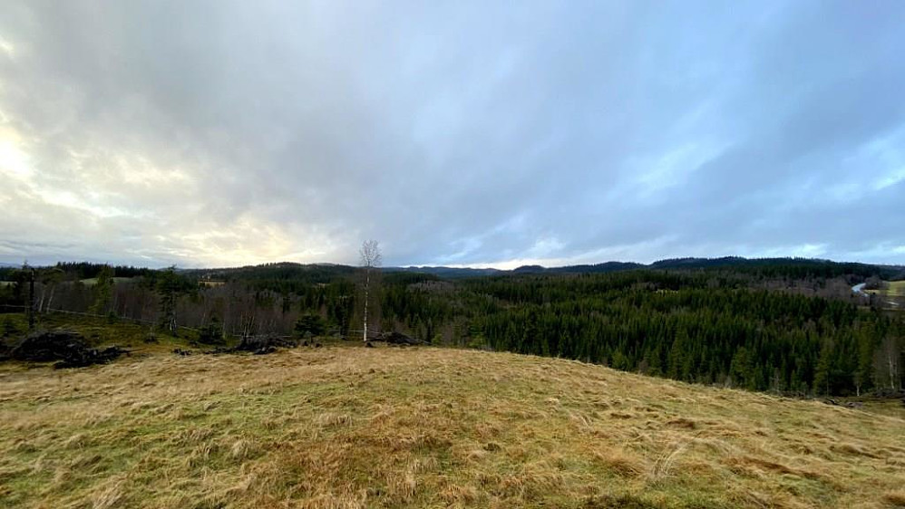 Mot Stortrøåsen.