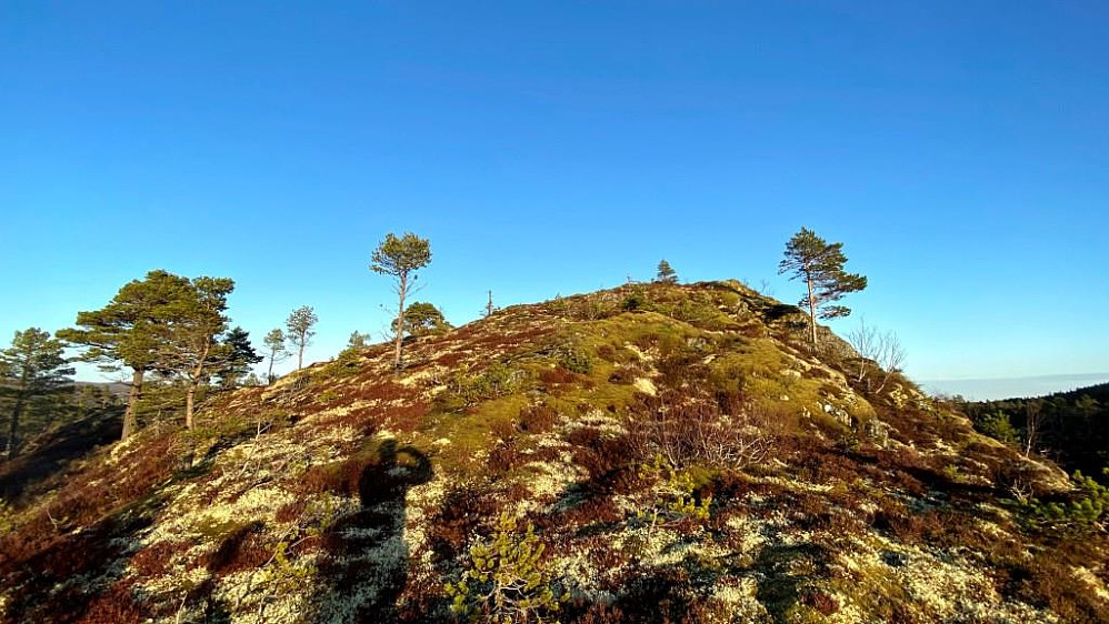 Har starta på aksla mot toppen her.