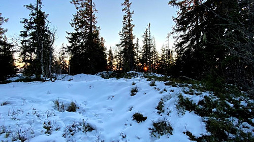 Båsmyrhaugen.