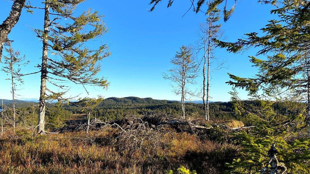 Toppen. Okstjønnåsen.