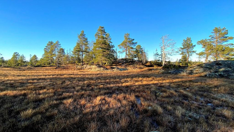 Over myra her ligger Svarttjønnåsen.