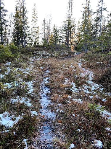 Det har vært nattefrost så snø og is ligger fortsatt i skyggen.