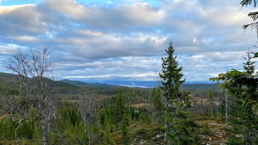 På tur opp og ser over Trondheimsfjorden mot Skogn.