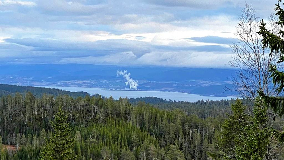 Norske Skog på Fiborgtangen slipper ut mye damp.